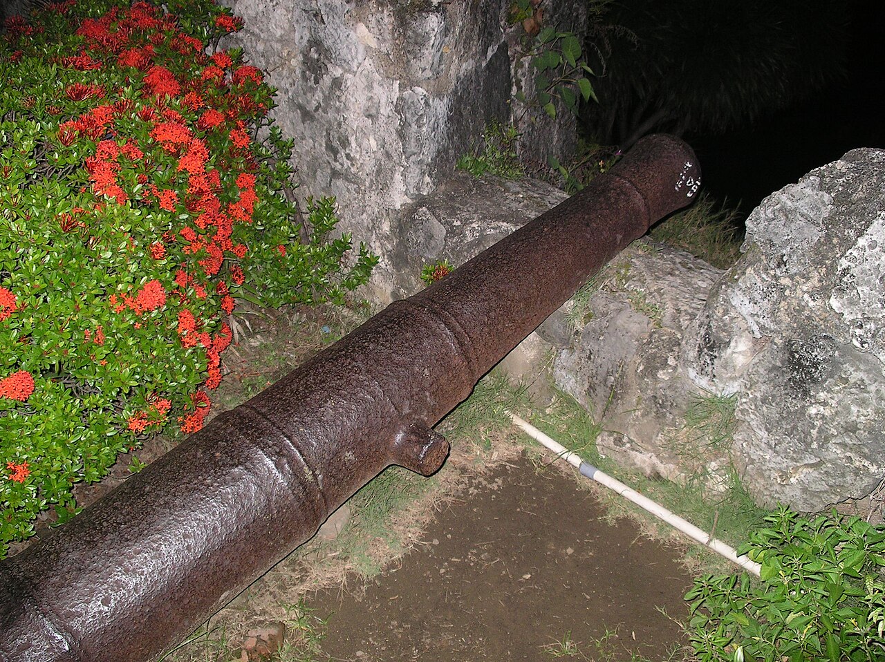 Karaang kanyon sa Fort San Pedro